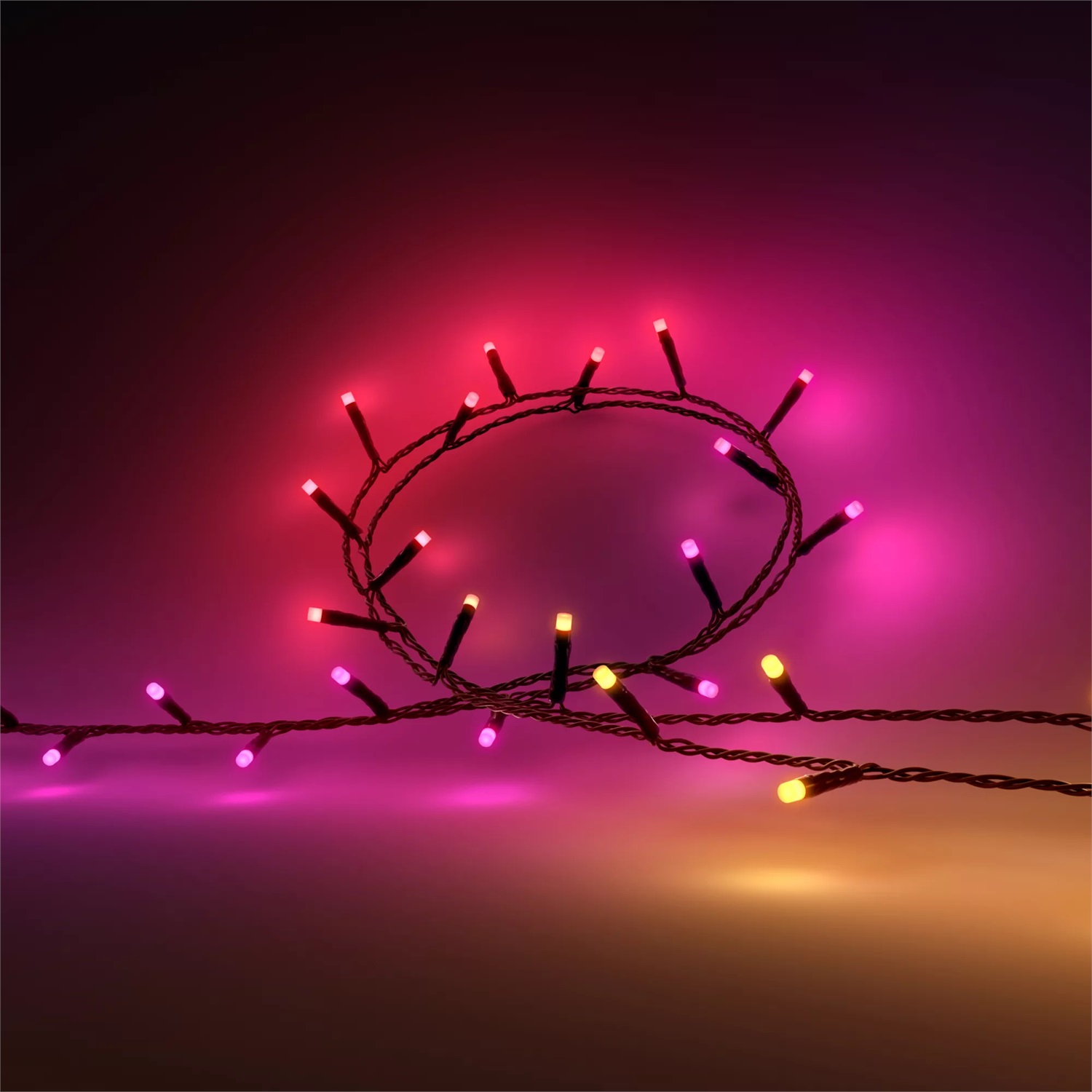 Philips Hue White and Color Ambiance Festavia - Stringa di Luci Intelligenti, 250 LED, 20m, Dimmerabile, Bluetooth, Effetti di Luce
