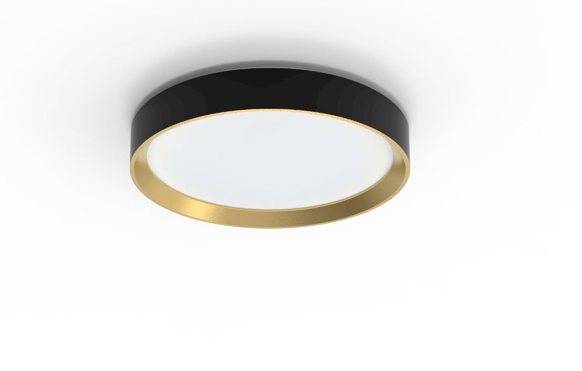 Philips Hanno Lampada a Soffitto LED 24W 2700Lm 2700K Nero Dimmerabile SceneSwitch