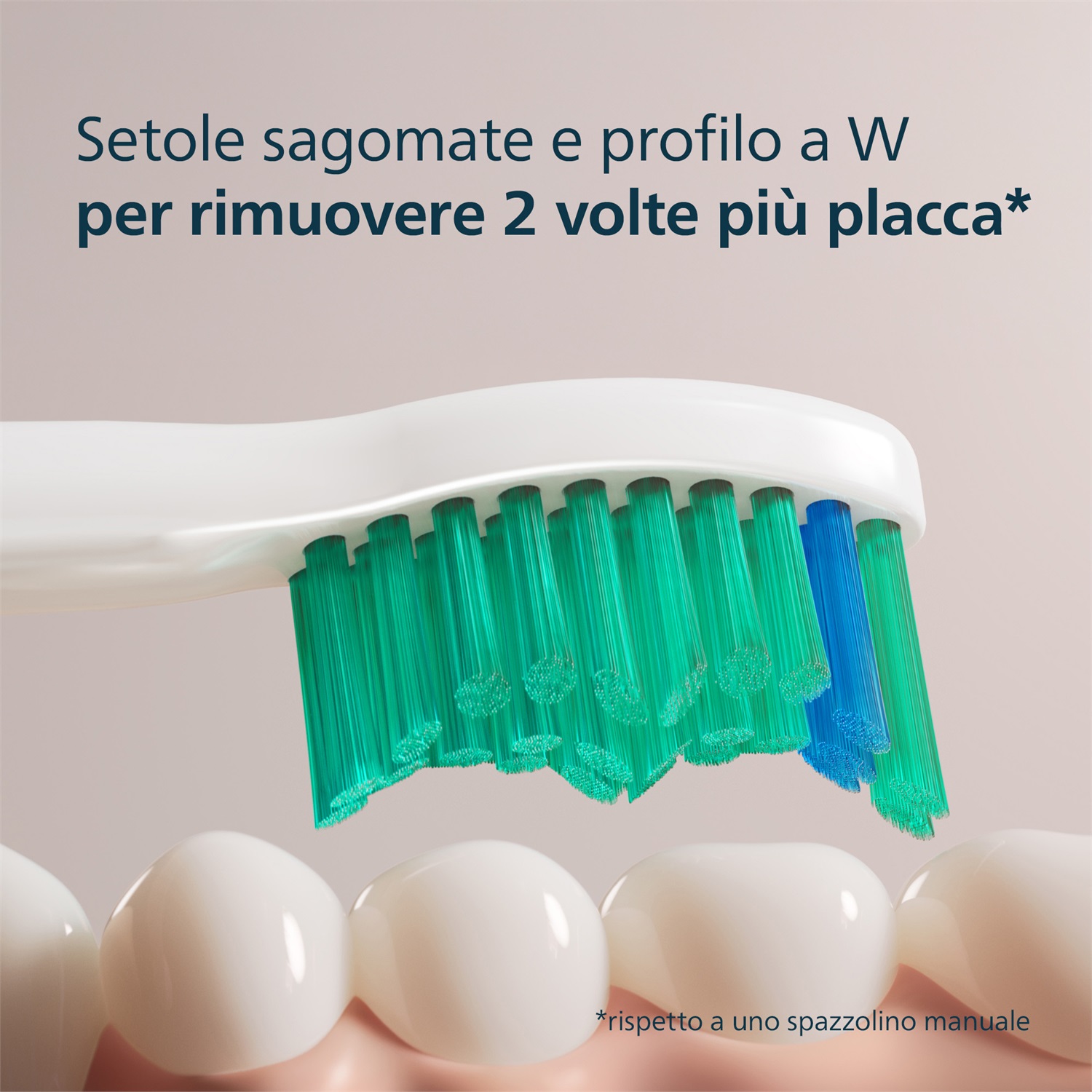 Philips Testine di Ricambio Sonicare ProResults HX6016/87 - 6 Pz, Rimozione Placca e Igiene Orale Efficace