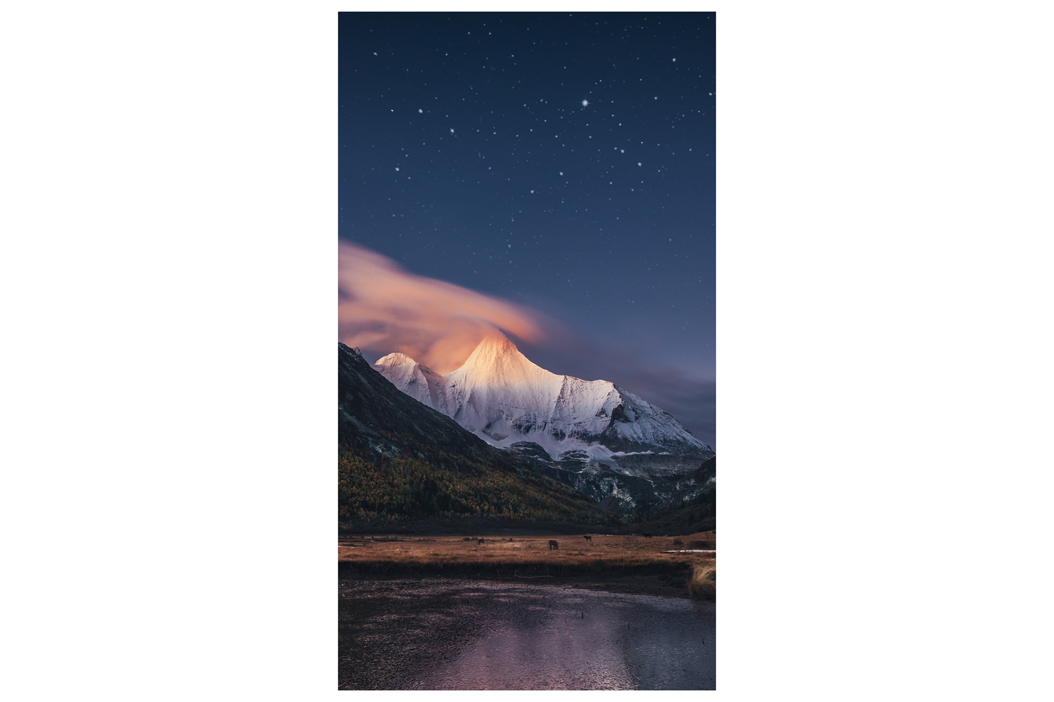 Samsung VM55B-R Monitor 55