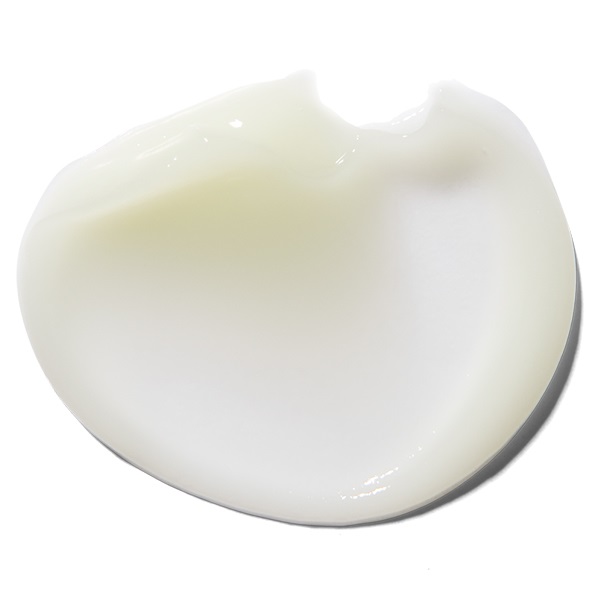 ERBORIAN Bamboo Cream Frappée 50ml - Gel Crema Rinfrescante Idratante e Tonificante per Viso