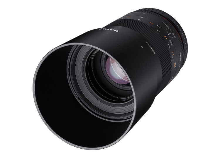 Samyang MF 100mm F2.8 Macro - Teleobiettivo Macro per Sony E-mount, Messa a Fuoco Manuale, Compatibile con APS-C e Full Frame, Garanzia Ufficiale Fowa 5 Anni