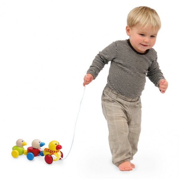 Wonderworld Famiglia Papere - Gioco Trainabile in Legno, 12m , Sviluppo Motorio e Coordinazione