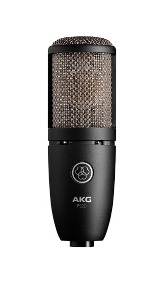 AKG P220 Microfono a Condensatore Cardioide da Studio con Supporto a Ragno