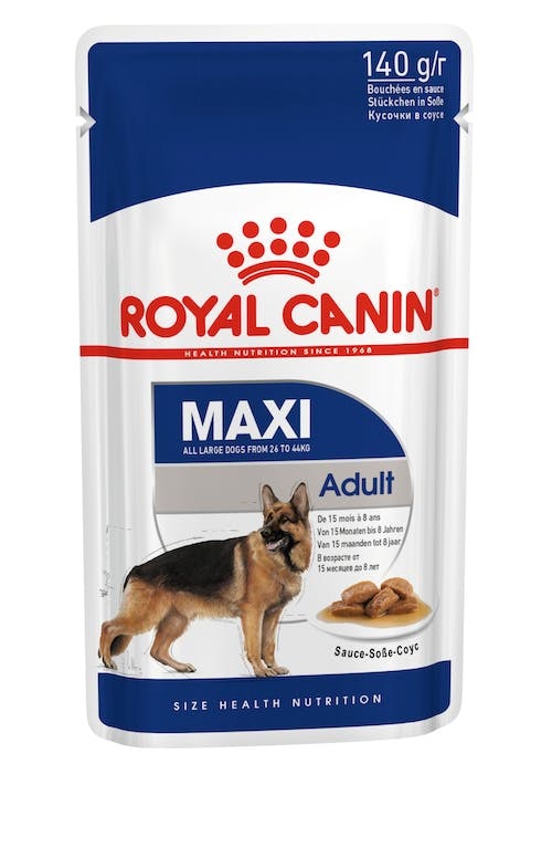Royal Canin Maxi Adult Cibo Umido per Cani di Taglia Grande - 10 x 140 g, Alta Digeribilità, Sostiene Ossa e Articolazioni