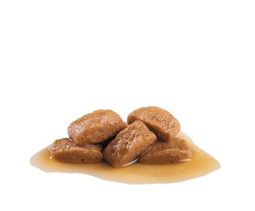 Royal Canin Maxi Adult Cibo Umido per Cani di Taglia Grande - 10 x 140 g, Alta Digeribilità, Sostiene Ossa e Articolazioni