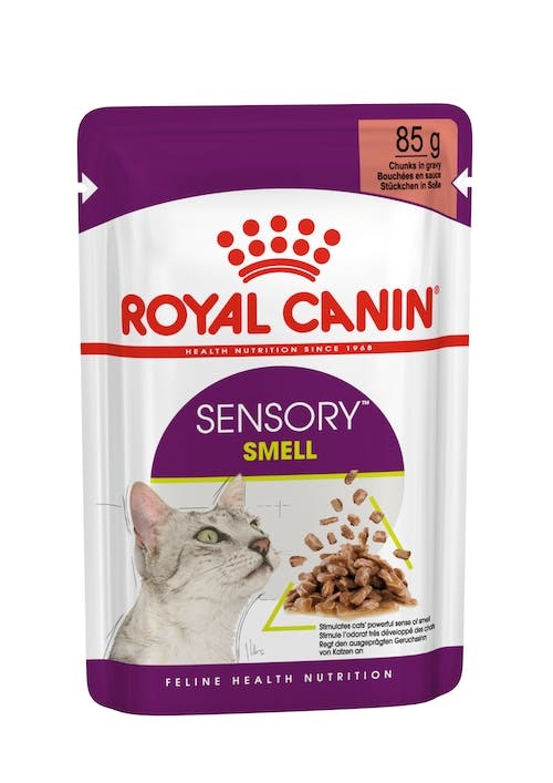Royal Canin Sensory Smell Cibo Umido per Gatti Adulto in Salsa - 85 g (12 x 85 g)