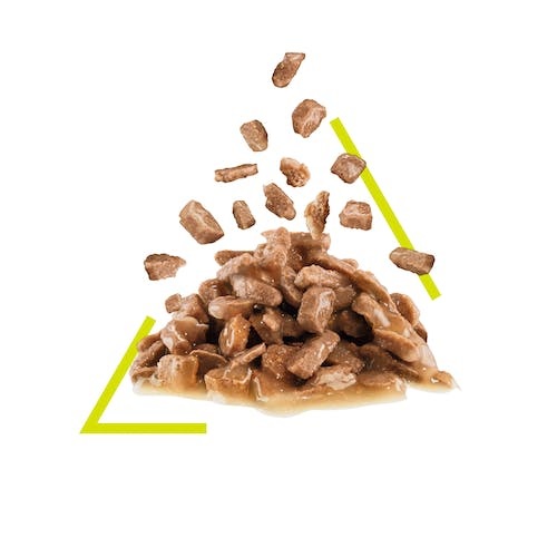 Royal Canin Sensory Smell Cibo Umido per Gatti Adulto in Salsa - 85 g (12 x 85 g)