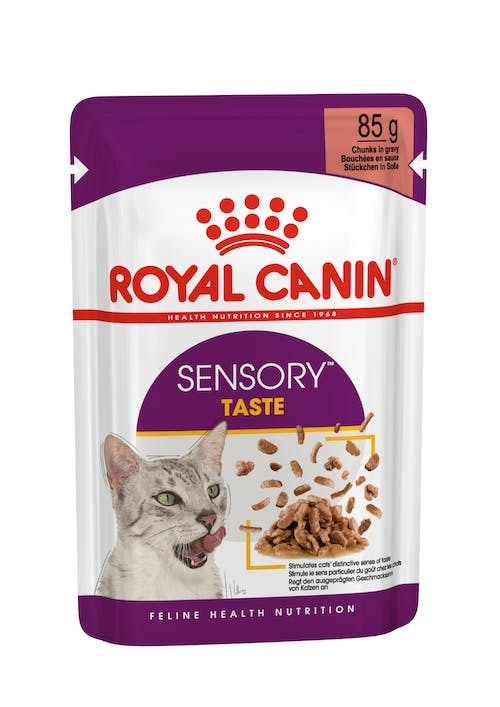 Royal Canin Sensory Taste Cibo Umido per Gatti Adulto - Pezzi in Salsa 12 x 85 g
