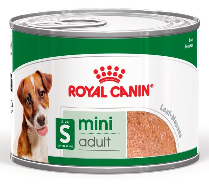 Royal Canin Mini Adult Paté umido per cani adulti di piccola taglia - 12 x 195 g, alimento completo e bilanciato