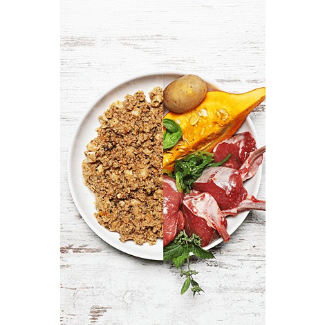 Dog's Love Cibo Umido per Cani Adulto Agnello con Patate, Zucca e Albicocca - 400 g