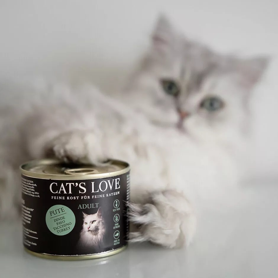 Cat's Love Cibo Umido per Gatti Adulto Tacchino con Camedrio Maro e Olio di Salmone - 200 g