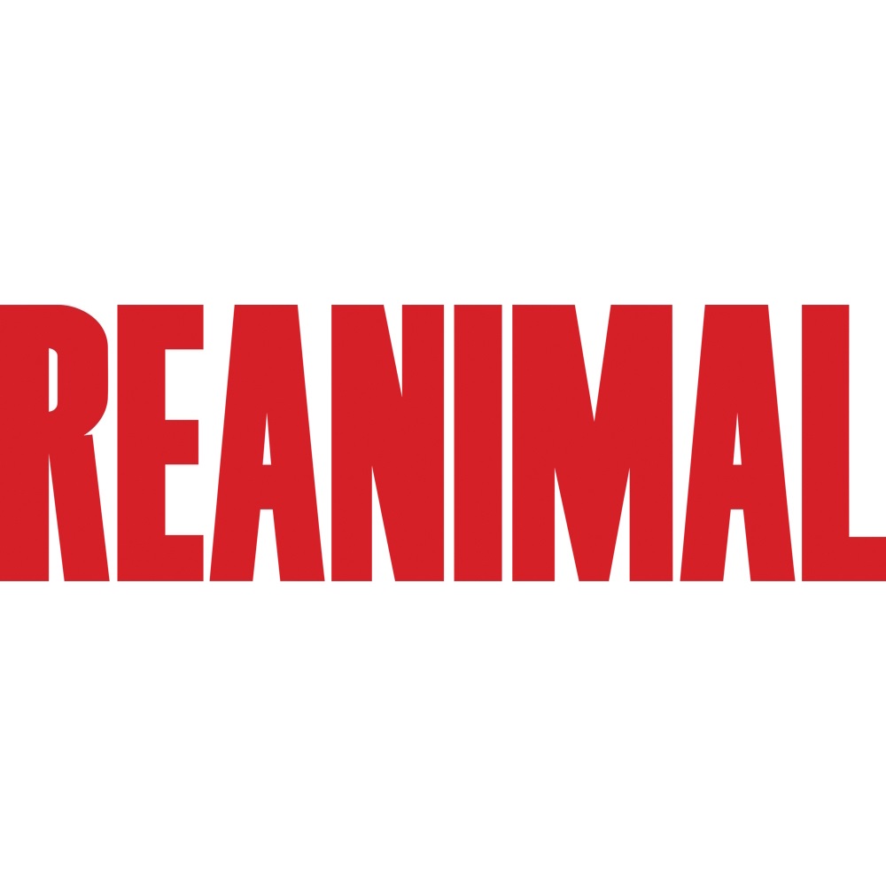 THQ Nordic REANIMAL - Avventura Cooperativa Horror per PlayStation 5 con Fratello e Sorella in Cerca di Speranza